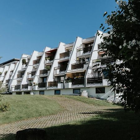 Rosenalm Scheidegg Apartment Exterior photo
